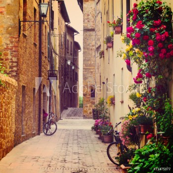 Picture of Street in Pienza